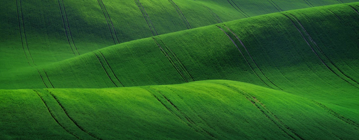 Йога-туры | Ретриты | Путешествия