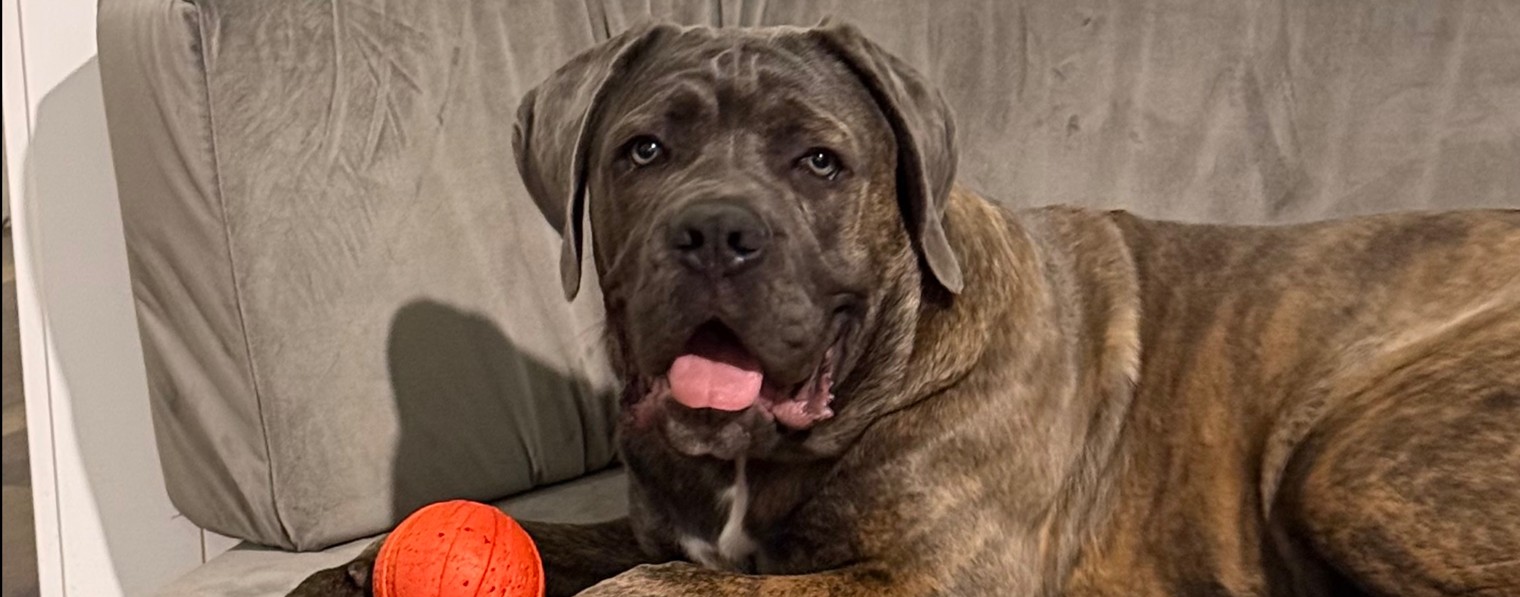 Vladimir_Linekautoclub123