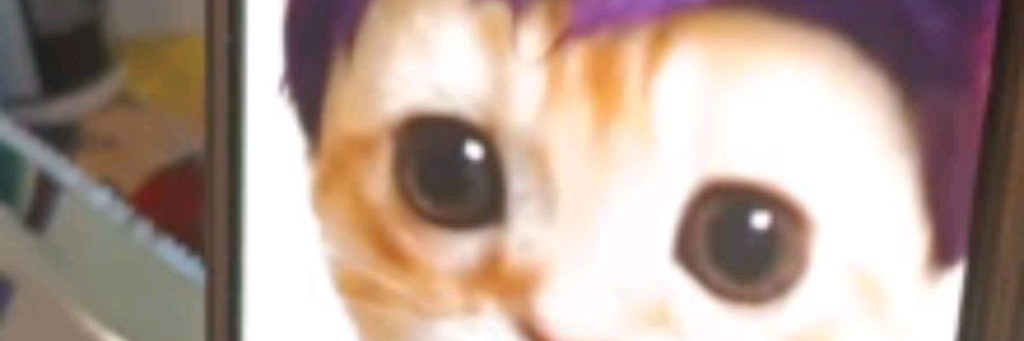 💝ꏂ꒒ ꍌꋬ꓄ꄲ🍞🐱🎄