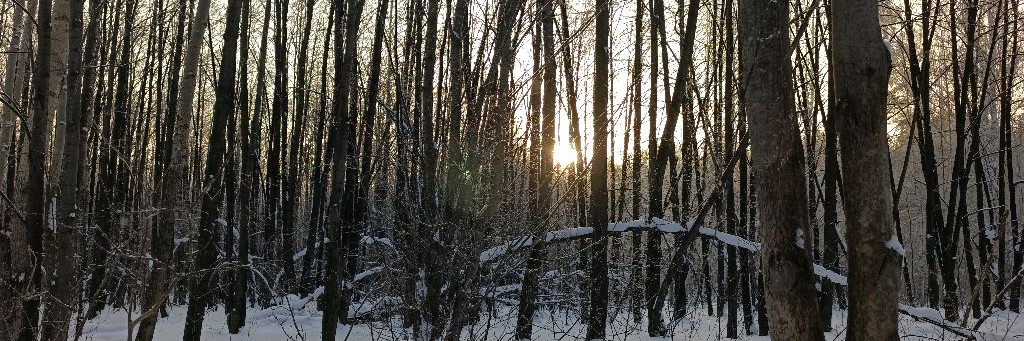 Татьяна Мама-хозяйка.