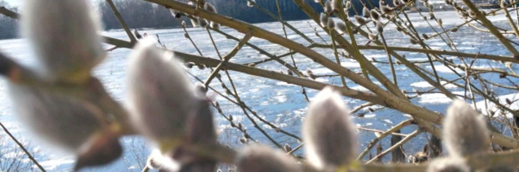 Vera's life Живу Хорошо