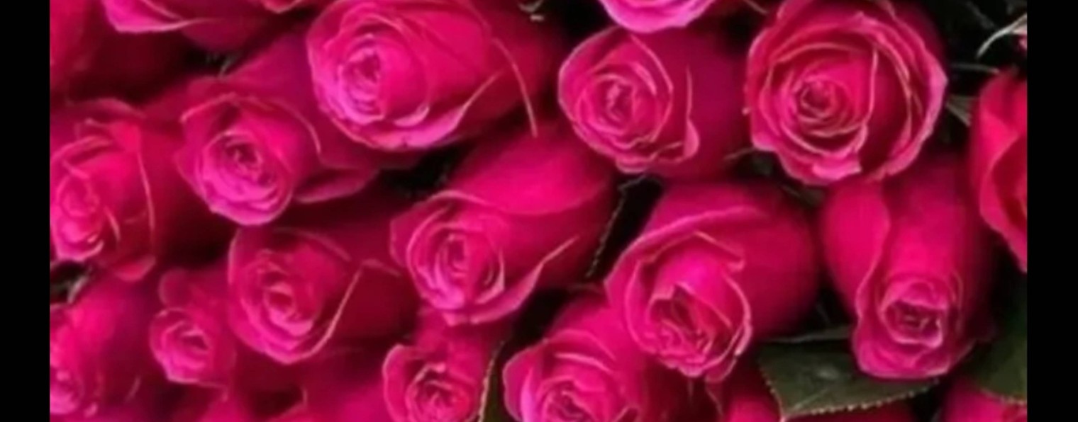 ✨Елена Порошина ✨Моя новая жизнь ✨