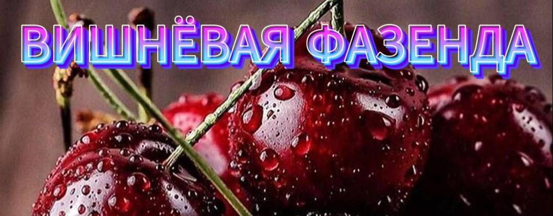 ВИШНЁВАЯ ФАЗЕНДА У ОЗЕРА