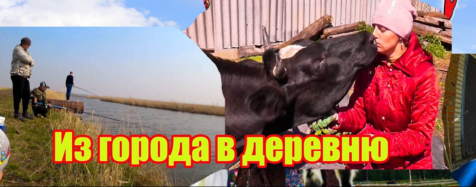 Из города в деревню
