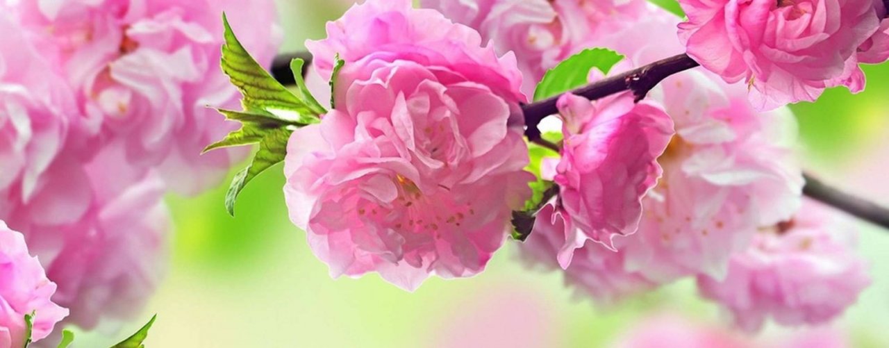 У Васильевны