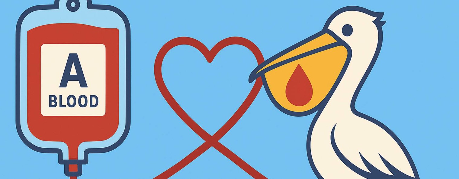 BloodGroups - PRO Кровь