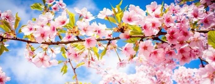 Антонина Иванова