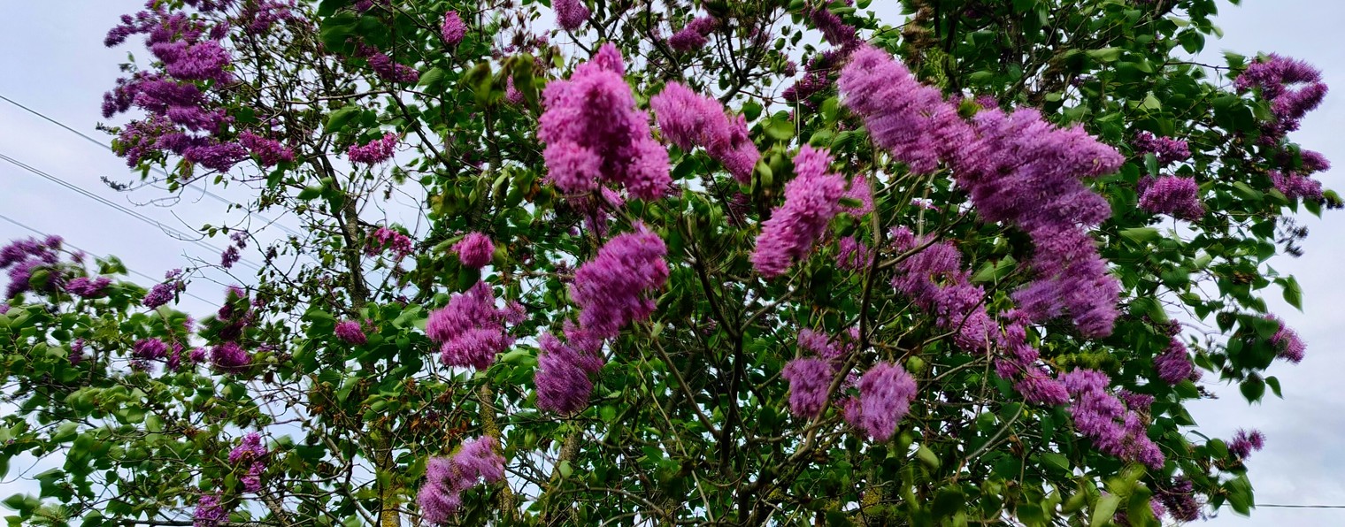 Жизнь на пенсии с нуля.