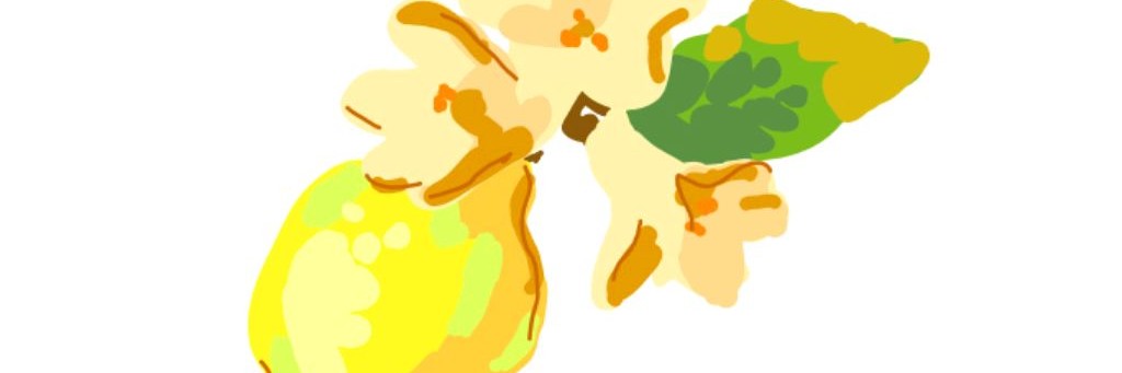 🍓🍓Ксюшикс🍒🍒