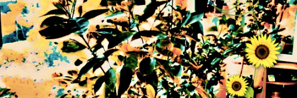 🌿🍋🌵ЭКЗОТИКОН🌵🍋🌿