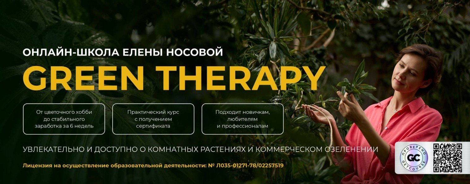 Елена Носова|озеленение