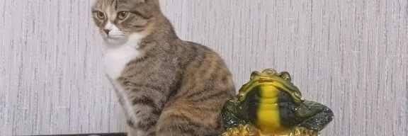 ЕЛЕНА ВАЛЕРЬЕВНА