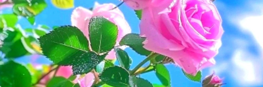 ВСЕГО ПОНЕМНОЖКУ