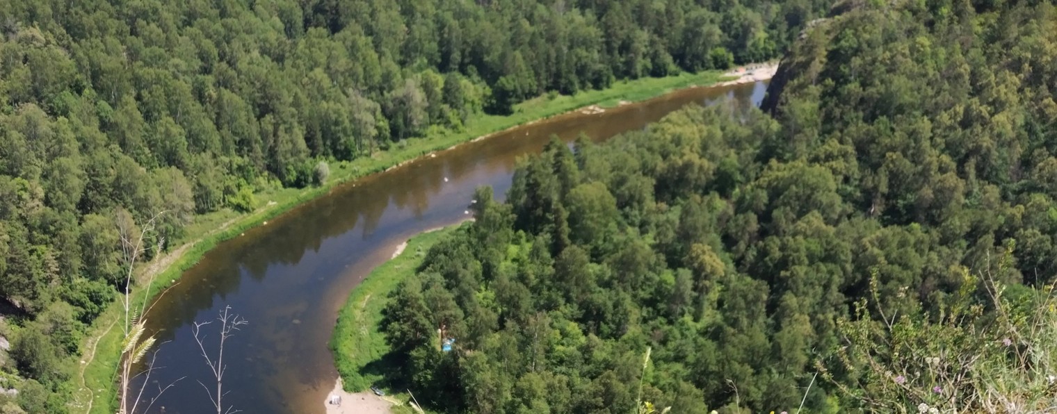 Зайтуна Орхидеевна.