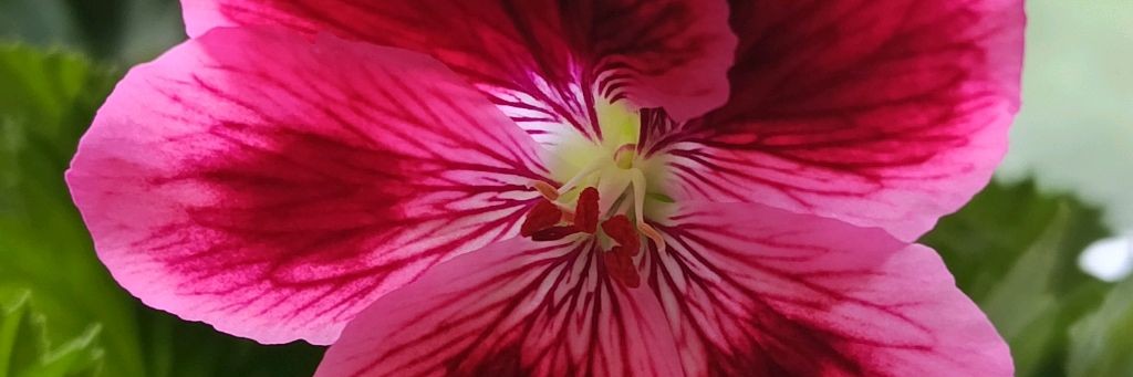 Не просто Ольга