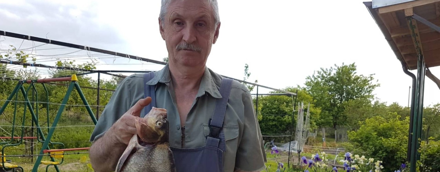 ВЯЧЕСЛАВИЧ