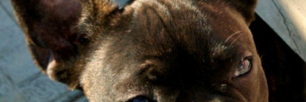 Лев Игроман