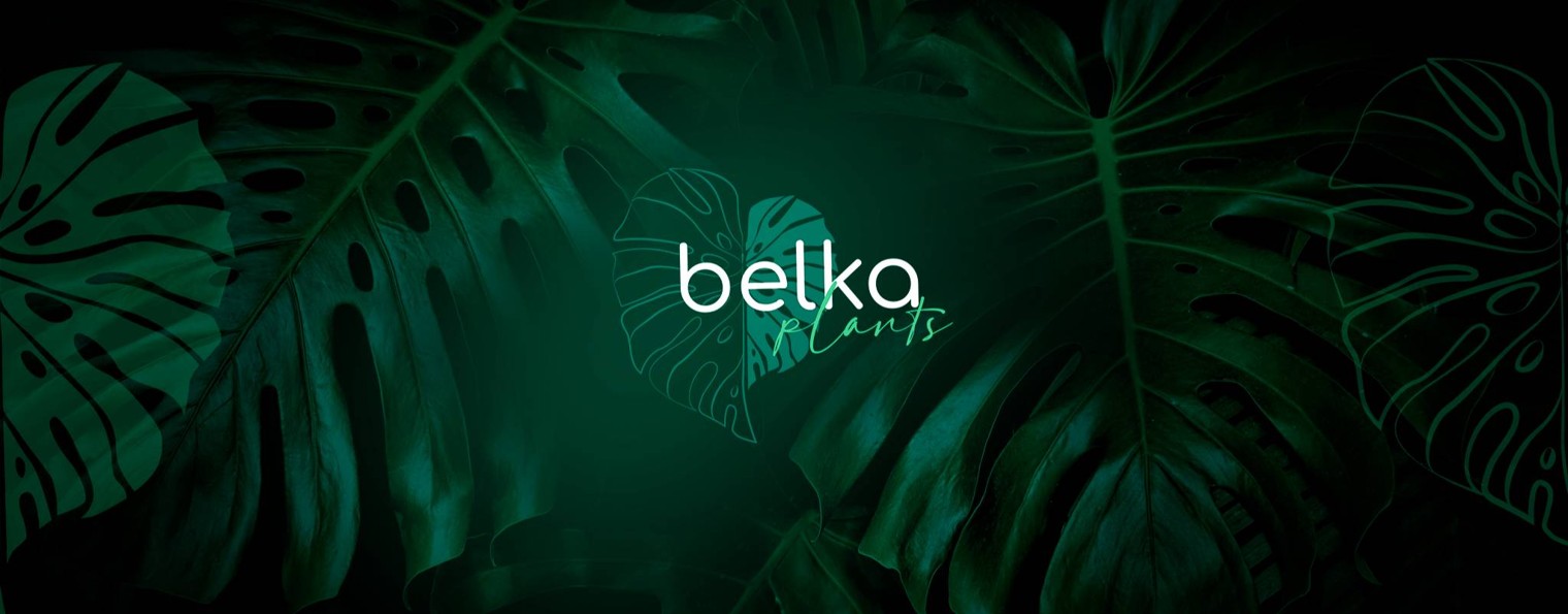 Belka_Plants 🍀