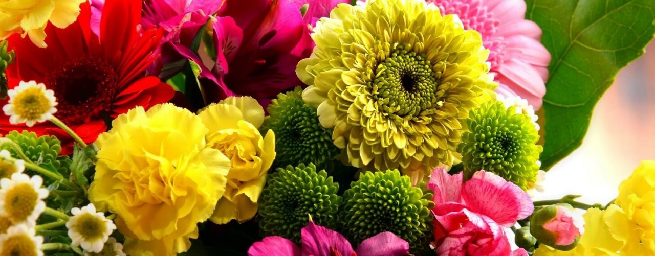 ДВЕ СЕСТРЕНКИ