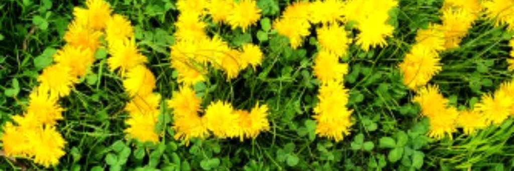 Нурсиля-мое вязание и не только