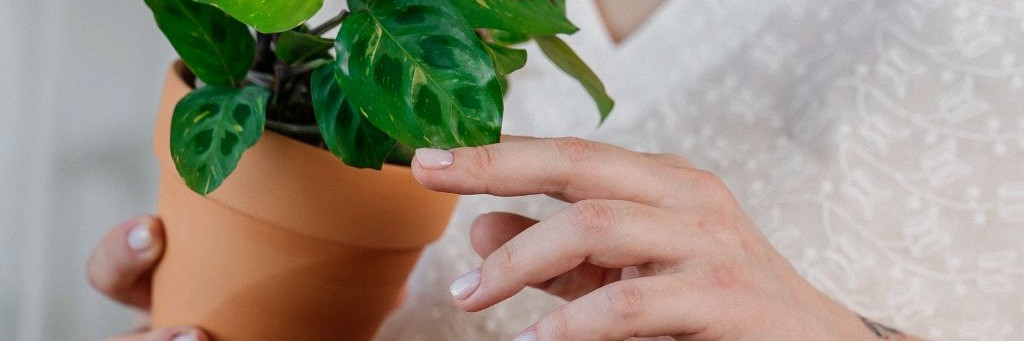 Давай дружить цветами 🌱 Анна Антонова