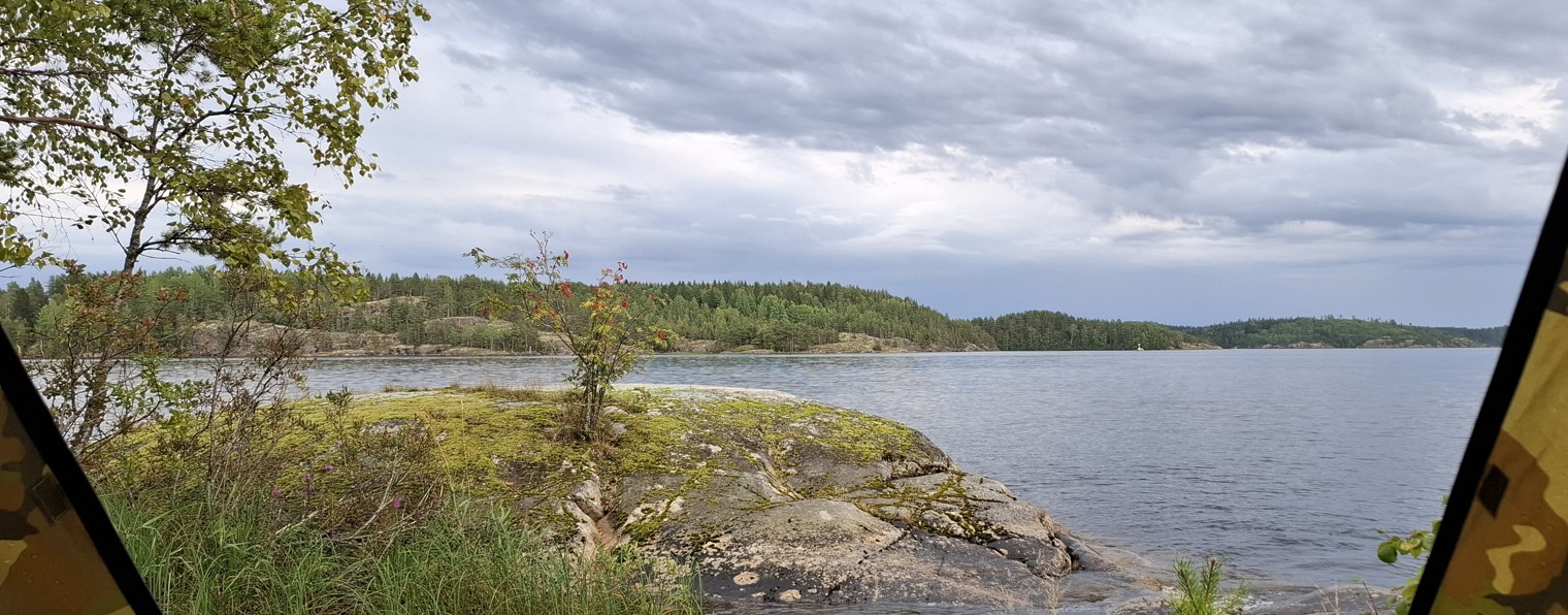 Дмитрий Баранов