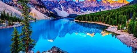 Данил Арвид и Илья ☑️