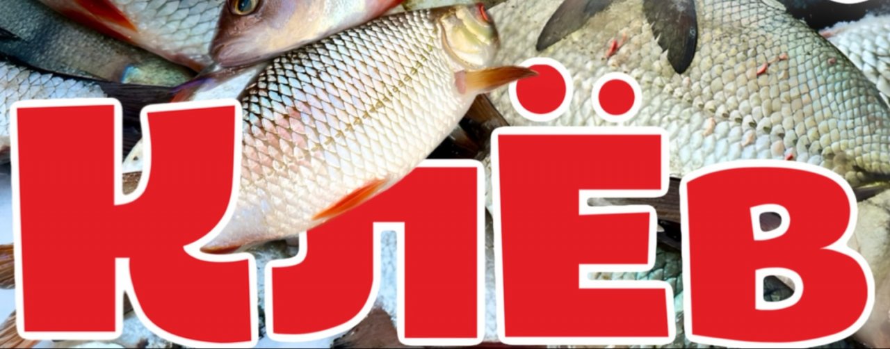 В гостях у подвоха