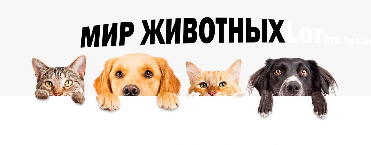 ✅МИР ЖИВОТНЫХ