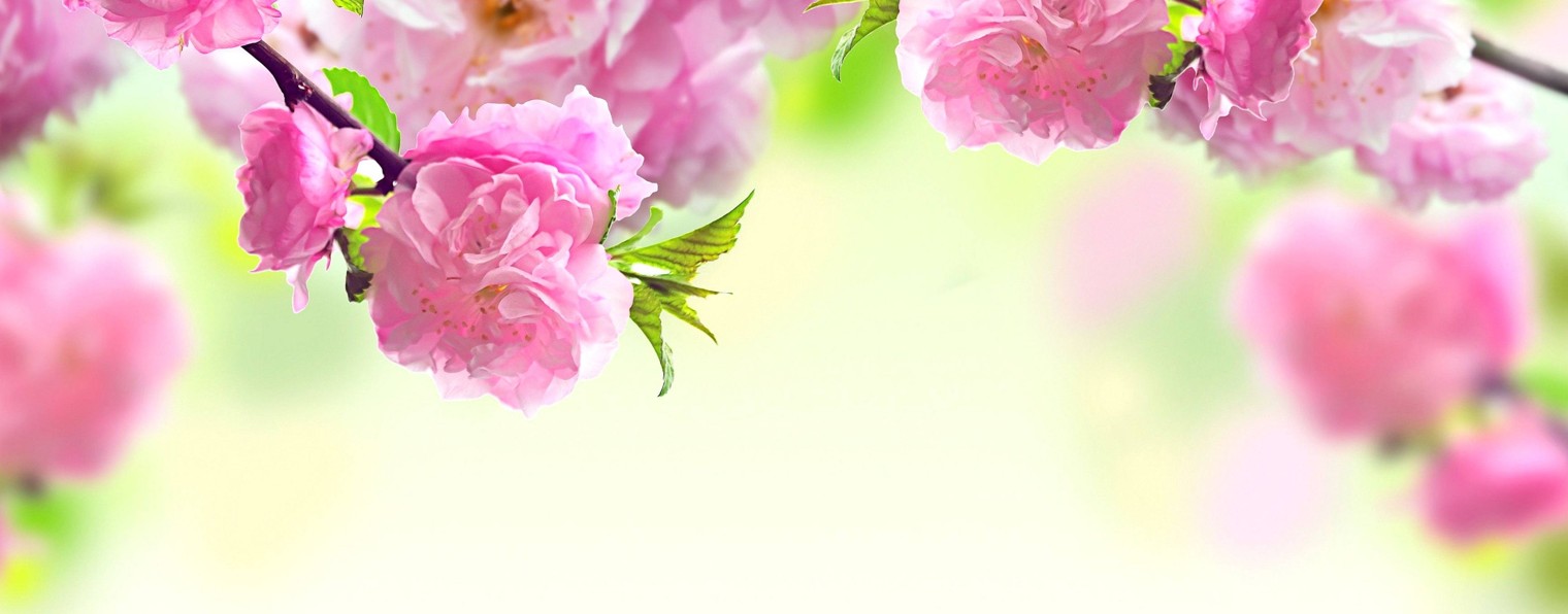 Шинкарева Светлана/ стихи и песни