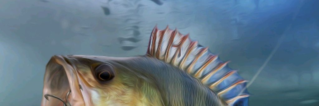 Братья На Рыбалке