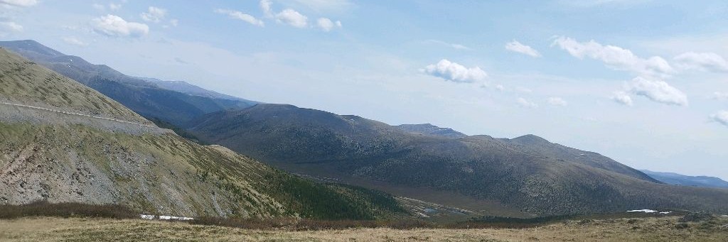 А мне свяжешь? Гульфия