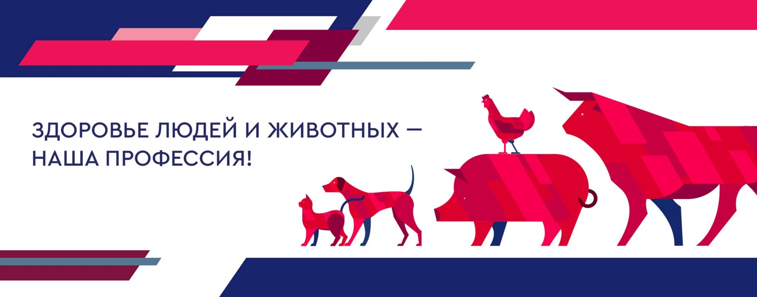Группа компаний ВИК (VICGROUP)
