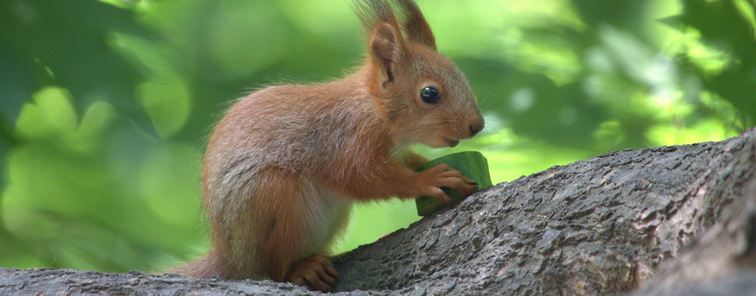 Всё по Серьёзному