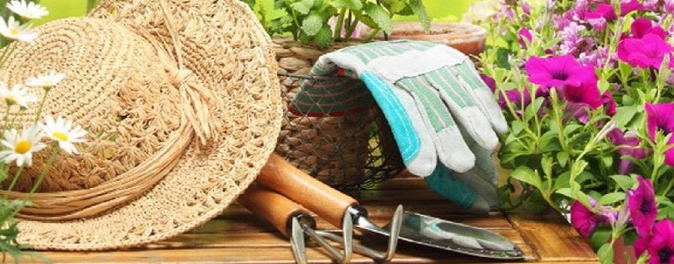 уДачный проект