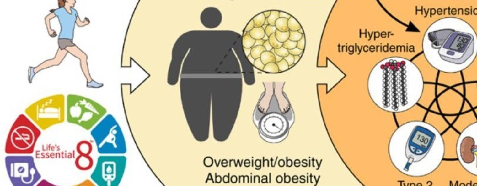 КардиоРеноГепатоМетабология