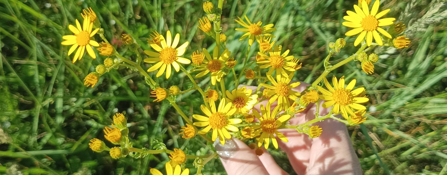 Кот и Я. Зарисовки Из Жизни.