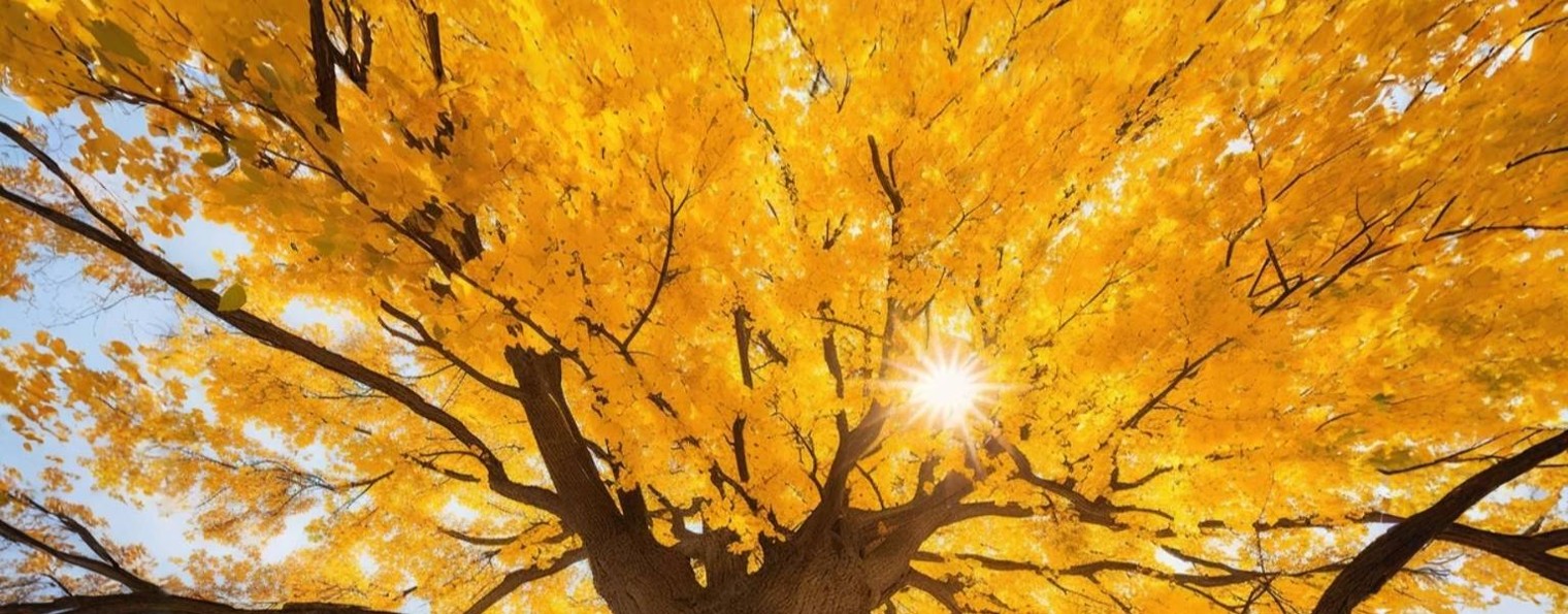 БЫТОВОЕ ФЭНТЕЗИ / Аудиокниги