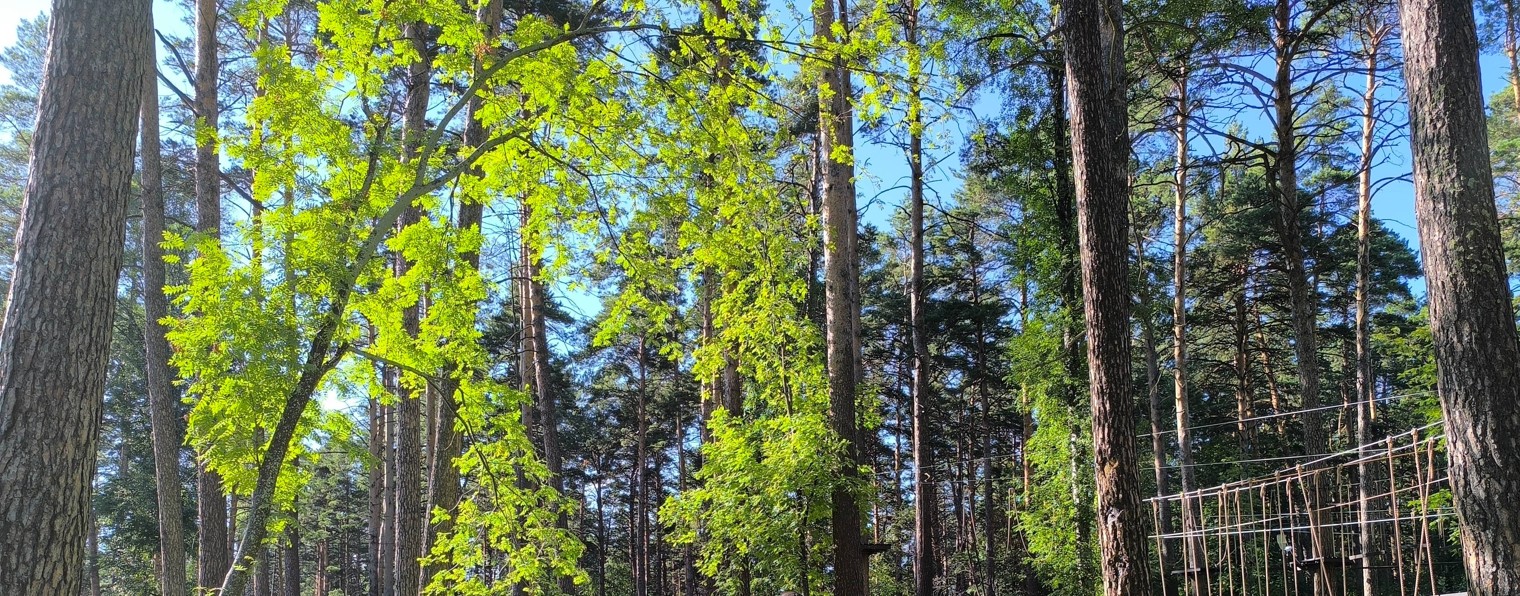 Dimax_Beast (Макс и Дима)