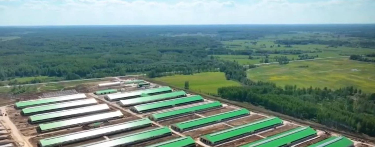 ООО "ПСК Светстрой"