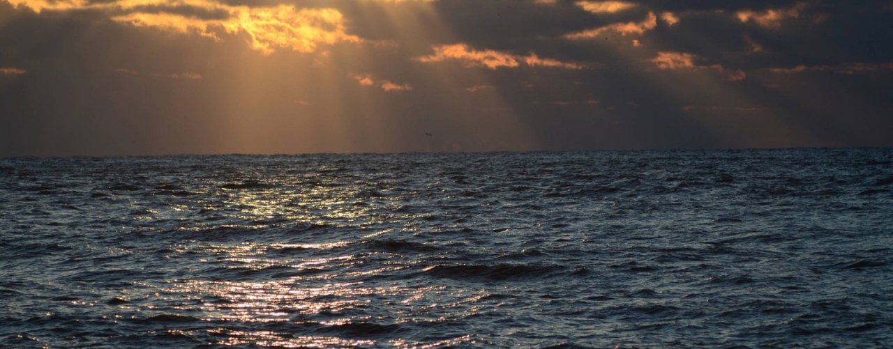 РАССЛАБЛЯЮЩАЯ МУЗЫКА / RELAX MUSIC