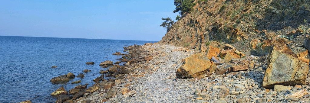 Слово лесника 🎄