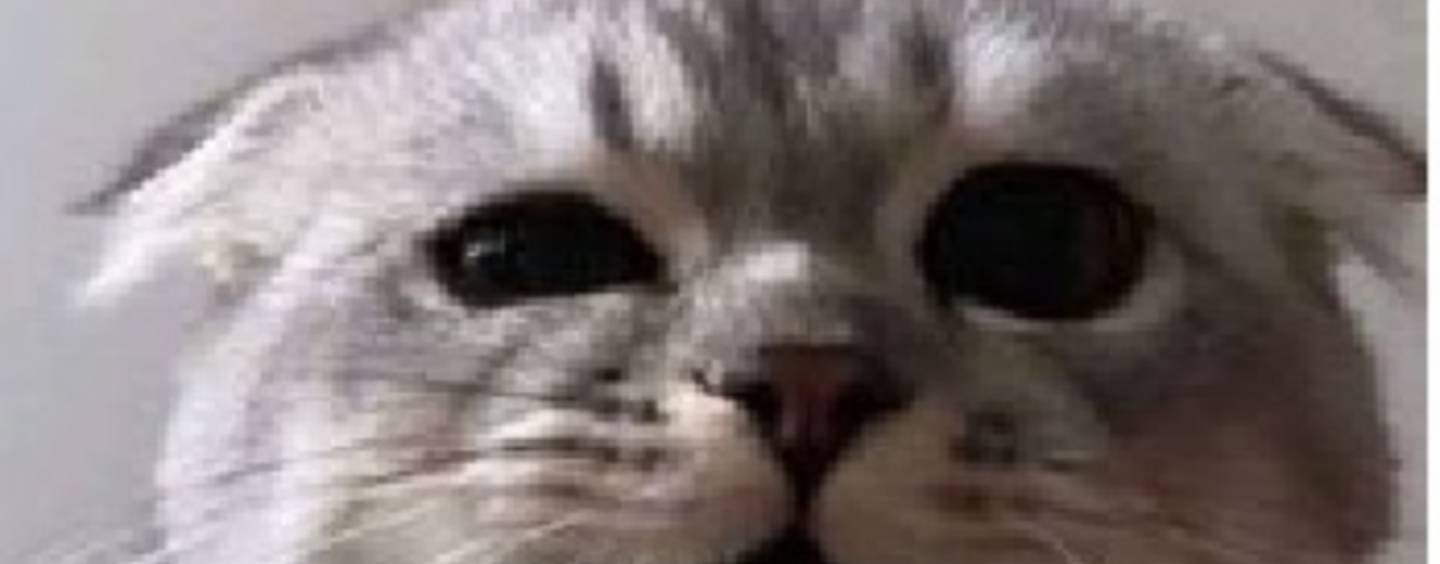 Злата Милашка ^^