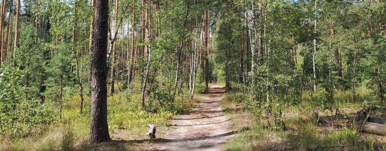 БЕРЕГИ КАРМАНЫ