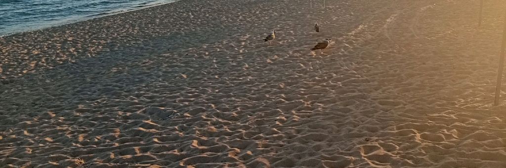 🍓~𝑵𝒂𝒓𝒂•🫐