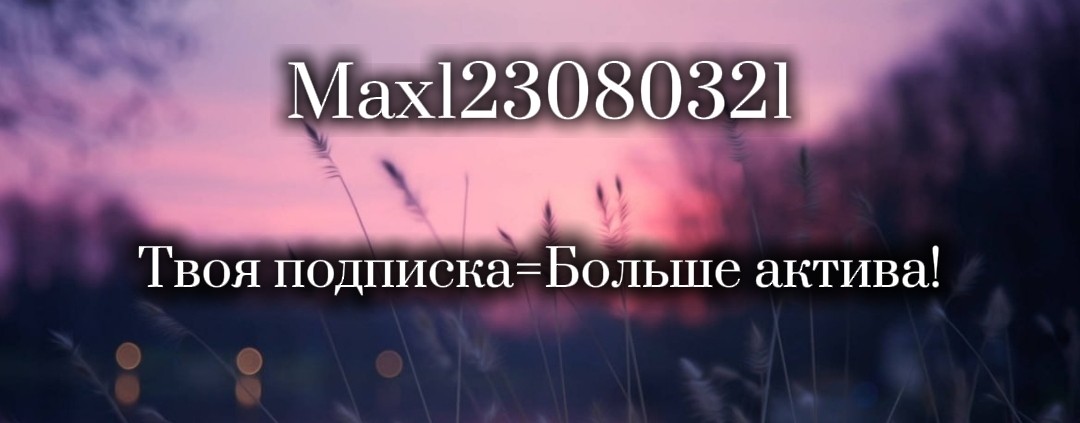 max123080321