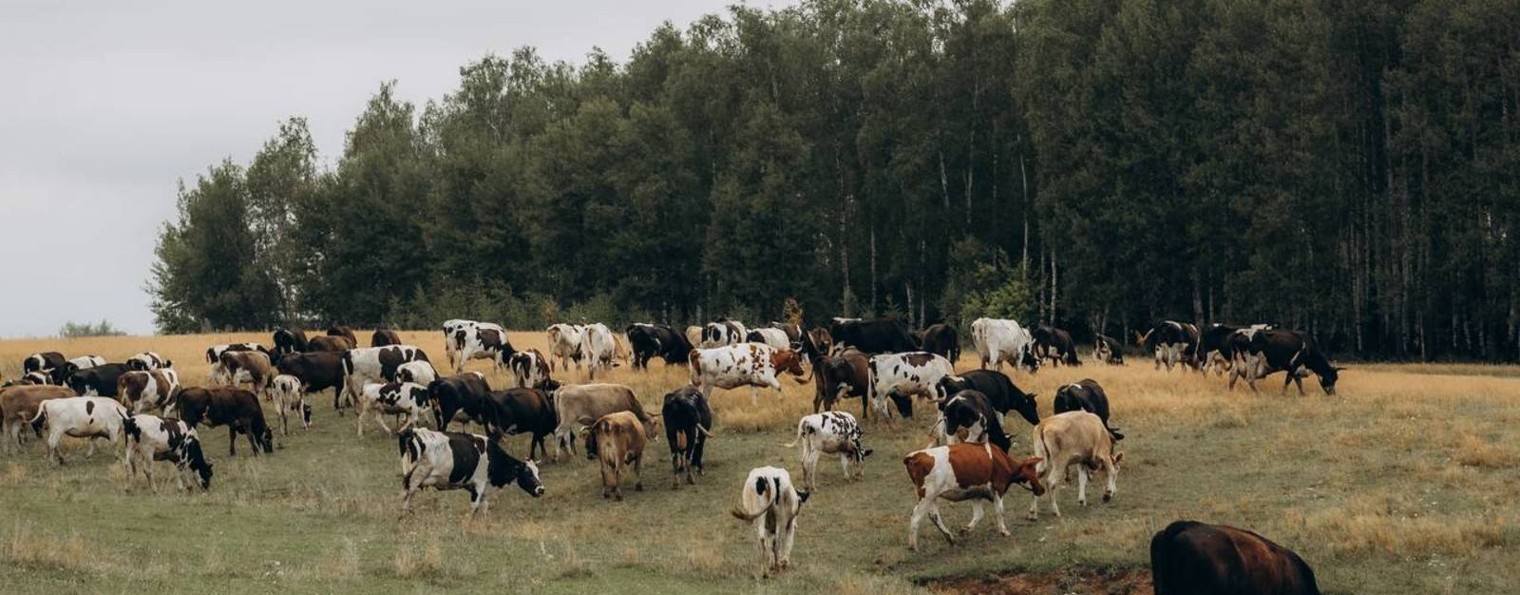 Александр Силяков