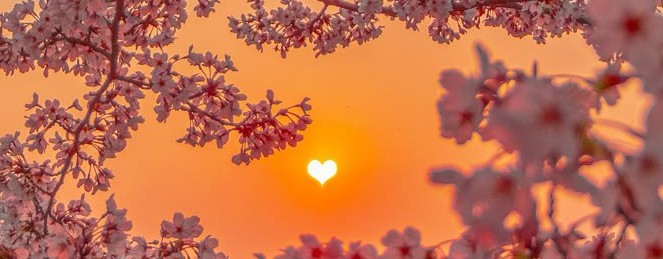 💕геля милка 🫶🏼