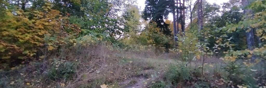 Мишаня Ивановский