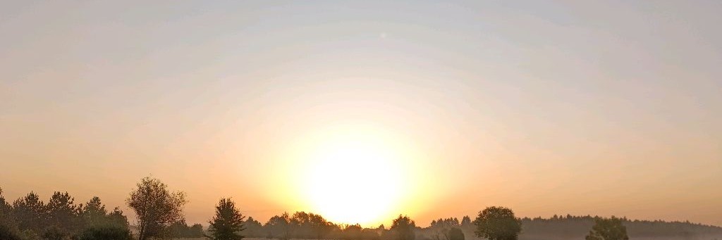 ЖИЗНЬ в SAMMASATI